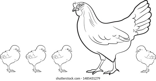 HEN AND CHICKENS FREE BIRDS
