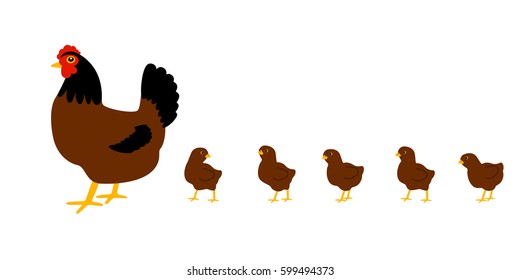 Hen with chickens. White background. Isolated. Vector Image.