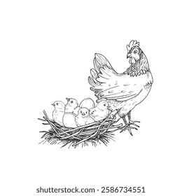 Hen, chicks and eggs in a nest made of straw. Vector black and white illustration hand drawn with ink