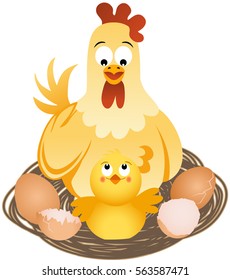 Hen with chicks and eggs on nest
