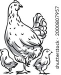 Hen and Chicks Hand Drawn Illustration
