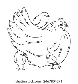 Hen with chicks. Mother chicken with small children. Agriculture, country life, poultry farming. Black and white vector isolated illustration hand drawn doodle