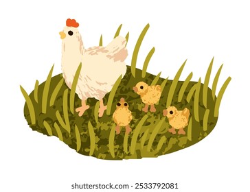 Hen with chicks on grass. Farm bird with cute chicken brood. Free-range poultry, domestic country fowl, rural nature, countryside. Animal family. Flat vector illustration isolated on white background