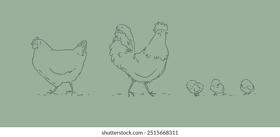 Hen chicks and rooster, chicken farm family drawing on green background