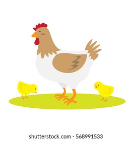 hen and chicks vector illustration