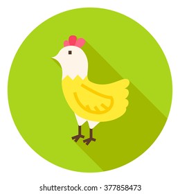 Hen Circle Icon with long Shadow. Flat Design Vector Illustration with Long Shadow. Animal Bird Symbol.
