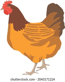 Hen clip art creative symbol