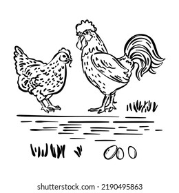 HEN COCK And Eggs Symbol Of Holy Easter Holiday Hand Drawn Cartoon Monochrome Picture Farm Characters Poultry Clipart Vector Illustration Set For Print