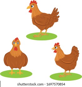 Hen Cute Rooster Cartoon Vector