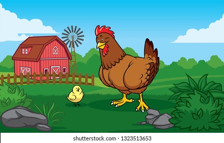 hen in the farm with chick