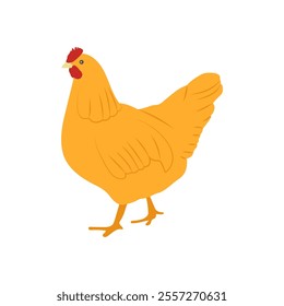 Hen, Farming Flat Vector Illustration