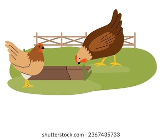 Hen feeding. Farm birds eating from trough, cute poultry, hand drawn funny contemporary drawing domestic chick, egg and meat, traditional easter symbol cartoon flat vector countryside illustration