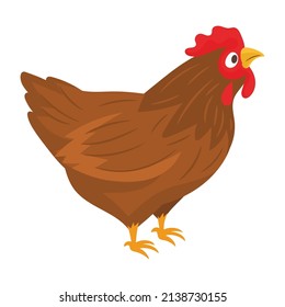 hen  Flat vector icon which can easily modify or edit 