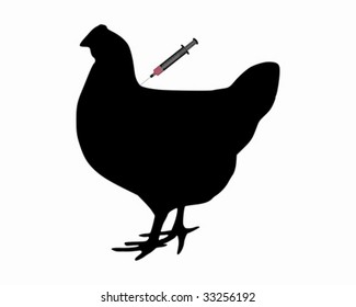 Hen gets an immunization against bird flu