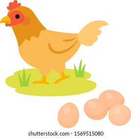 Hen in the grass field and eggs