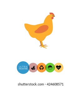 Hen icon