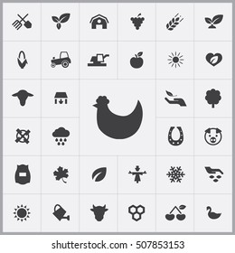 Hen Icon. Agriculture, Farm Icons Universal Set For Web And Mobile