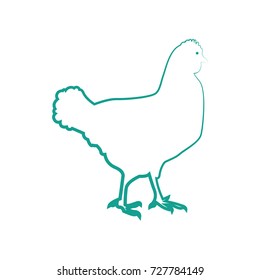 a hen icon vector