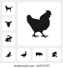 hen icon. vector sign symbol on white background