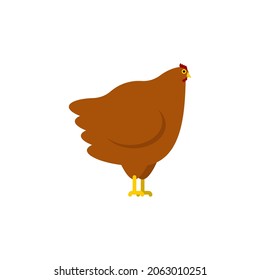 Hen isolated. Chicken Farm bird. vector illustration