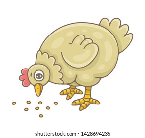 Hen. isolated on white background