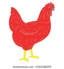 
hen isolated on white background. Hen vector Rooster chicken clipart