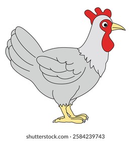 Hen isolated on white background