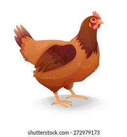 hen isolated on white background. Vector illustration