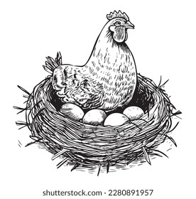 Hen laying eggs in the nest hand drawn sketch illustration