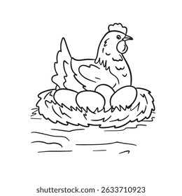 hen laying eggs vector illustrations. simple design