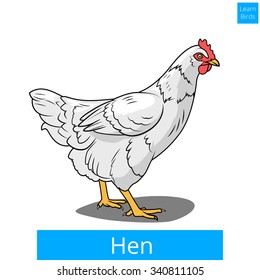 Hen learn birds educational game vector illustration