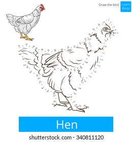 Hen learn birds educational game learn to draw vector illustration