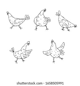 
Hen. Line art. Vector illustration.