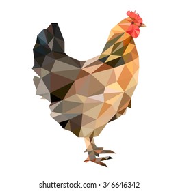 Hen con bajo estilo de polígono en fondo blanco, ilustración vectorial