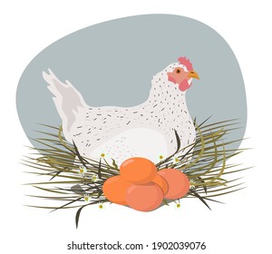 A hen in a nest of hay with eggs. Vector illustration isolated on a white background.