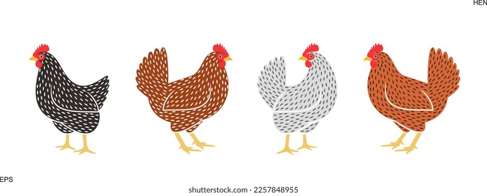Hen. Nest. Isolated  hen on white background