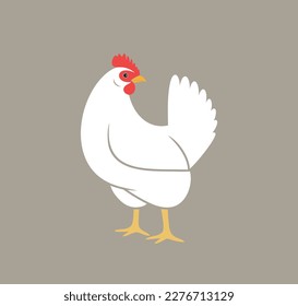 Hen. Nest. Isolated  hen on white background