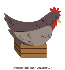 hen on top of a basket isolated icon
