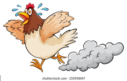 A hen on a white background