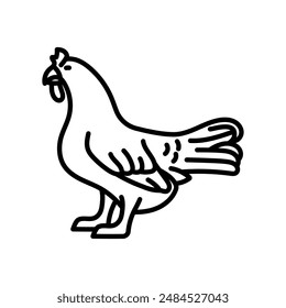 Hen Outline Icon, Vector illustration