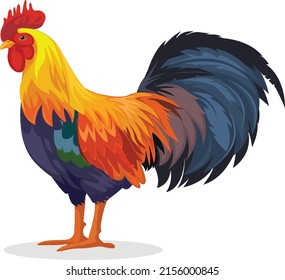 Hen Pecked Rooster Vector Illustration Stock Vector (Royalty Free ...