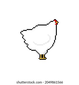 Hen pixel art. Chicken pixelated. Farm bird 8 bit. 