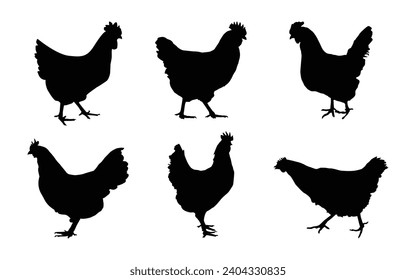 Hen And Rooster. Black and white image. Set of Isolated silhouettes.	