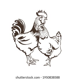 Hen and rooster. Chicken farm premium quality isolated on white background. Fresh eggs logo. Premium element design packaging. Monochrome Illustration Vector Sketch. Graphics. Black and white