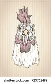 Retrato gráfico Hen o rooster, vista frontal, ilustración de estilo vintage