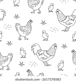 Hen and Rooster line art seamless pattern illustration