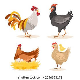 Hen and Roosters, Chicken with Little Chicks and Eggs in Nest, Poultry Farm Male and Female Domestic Birds, Farming Production, Agriculture Isolated on White Background. Cartoon Vector Illustration