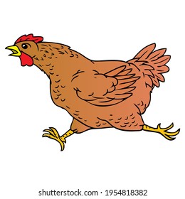 hen run vector illustration,
isolated on white background.top view