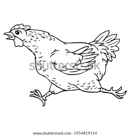 hen runing line vector illustration,
isolated on white background.top view