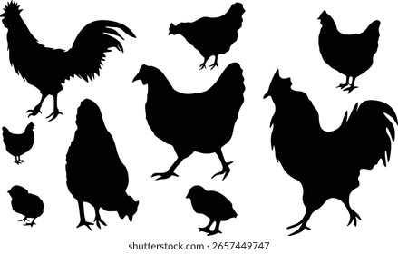 Hen Silhouette Bundle Design no fundo branco